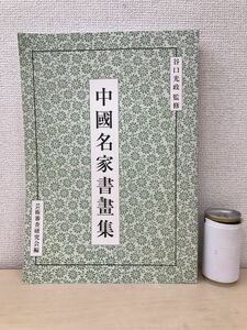 中國名家書画集　谷口光政／監修　芸術審査研究会編　創林書房