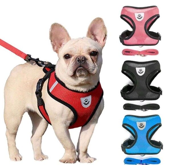 胴輪・リードセット ブルー Mサイズ 犬 ハーネス 脱げない おしゃれ ペット 用品