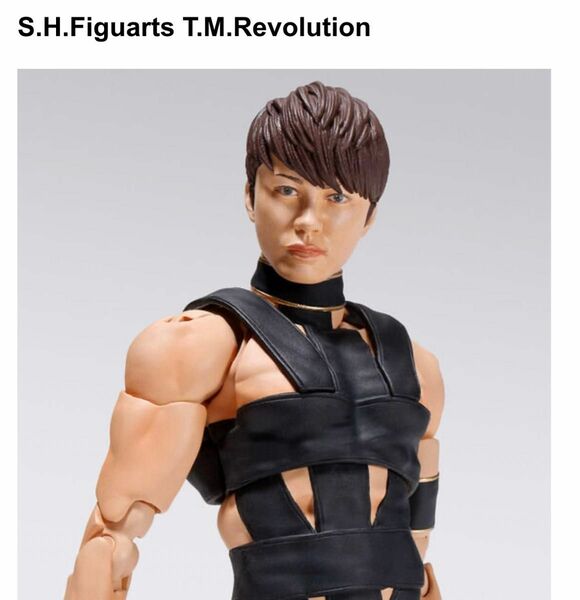 S.H.Figuarts T.M.Revolution