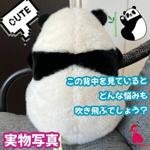  Panda soft toy | men Ran | seat .. present optimum silicon nail 