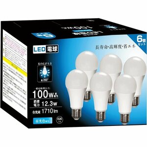 新品 100W形相当 省エネ 断熱材施工器具対応 昼光色6個 PSE認証済み 口金直径26mm LED電球 昼白色 51