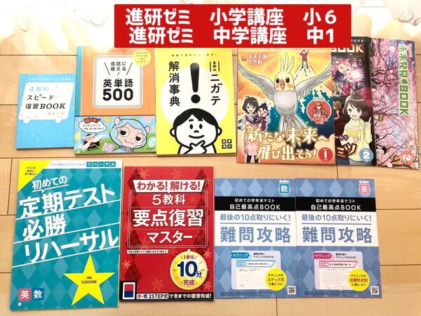 【クーポン対象】進研ゼミ 小6〜中1 教材 10冊セット
