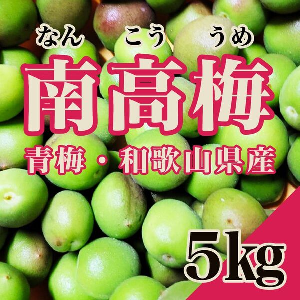 【紀州南高梅】青梅 南高梅 5㎏ 6月上旬よりお届け 和歌山県産 なんこうばい 梅ジュース 梅酒 サイズ混合 産地直送