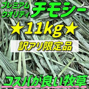 ★チモシー11kg ★訳あり 限定 プレミアム 一番刈 うさぎ 小動物用品 ペットフード 牧草 おやつ