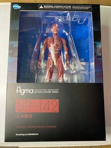 figma 人体模型