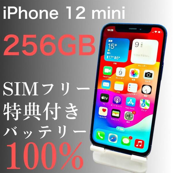 iPhone 12 mini 256GB SIMフリー　【特典付き】