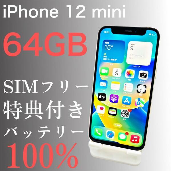 【美品】iPhone 12 mini 64GB SIMフリー　【特典付き】