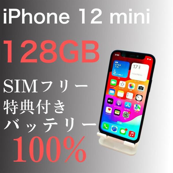 【美品】iPhone 12 mini 128GB SIMフリー　【特典付き】