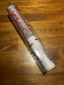 . slope 46 penlight 4th ARENA TOUR 2024 new . front line Go on back