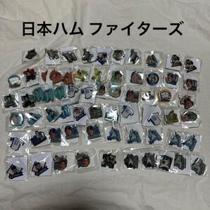 日本ハム ファイターズ 選手 ピンバッジ バラ売り可能