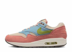 Nike Air Max 1 &quot;Light Madder Root and Worn Blue&quot; 28cm DV3196-800