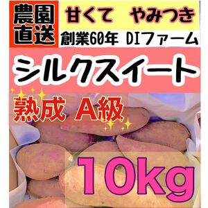 期間限定　セール　熟成 さつまいも A級 シルクスイート 10kg (箱こみ) 土つき　サイズミックス 千葉県産 2023年もの