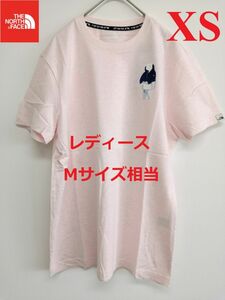 超希少！ THE NORTH FACE ノースフェイス Tシャツ 半袖 メンズ レディース アニマル柄 ロゴ ピンク K155X