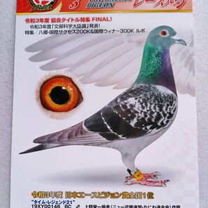 レース鳩 THE RACING PIGEON 2022 3 MARCH Vol.756
