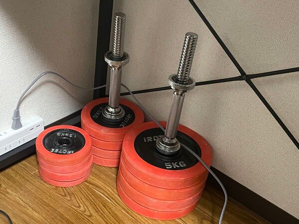 irotec 総重量40kg ダンベル 使用感多々あり