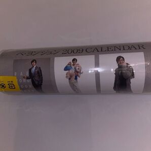 ペ・ヨンジュン 2009 CALENDAR 全8枚 【開封のみ】