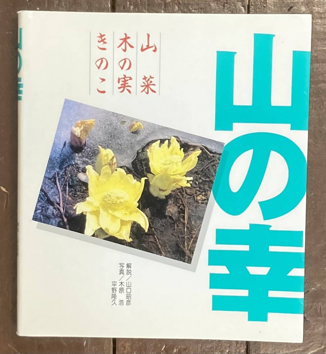 2025年最新】Yahoo!オークション -毒きのこ(本、雑誌)の中古品 2025年最新】Yahoo!オークション -毒きのこ(本、雑誌)の中古品