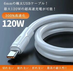 最大120W超急速充電対応 耐久性最高峰 極太USBケーブル Type-C 2m Xiaomi T13 Pro 神ジューデン対応