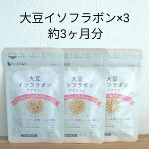 ■シードコムス　アグリコン型大豆イソフラボン　サプリメント　1ヶ月分×3袋セット 新品■
