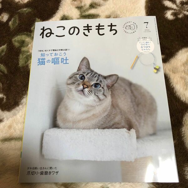 USED ねこのきもち7月号