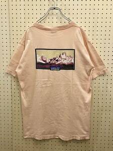 【M】90's Old Patagonia Print Tee Fade Pink USA 90年代 オールド パタゴニア プリント Tシャツ フェード ピンク 米国製 F689