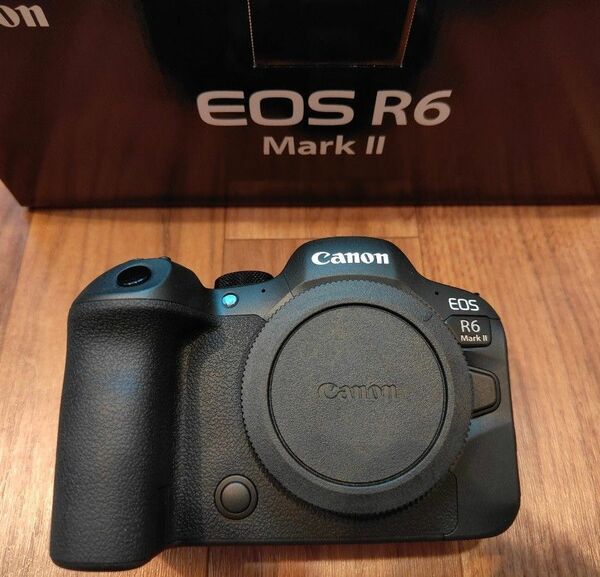 【美品】Canon EOS R6 Mark Ⅱ ボディ