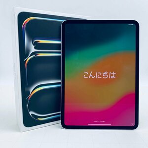 iPad Pro 11インチ Wi-Fiモデル 256GB シルバー MVV93J/A