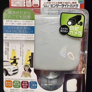 REVEX SD500 [センサーライト型防犯カメラ]新品 送料無料