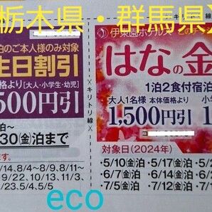 伊東園ホテルズ 栃木県 群馬県 はなの金曜日割引券　お誕生日割引 伊藤園ホテル ホテルグルメ バイキング 露天風呂 観光旅行 宿泊