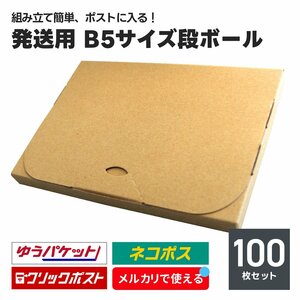 発送用 段ボール 100枚セット B5サイズ 厚み2cm ネコポス クリックポスト ゆうパケット メール便 対応 スリム ダンボール箱 梱包 軽量 郵便