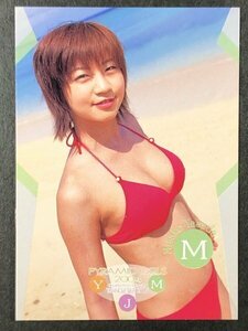 安田 美沙子　EPOCH 2004　48　グラビア アイドル トレカ トレーディングカード