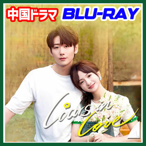 A. 263【中国ドラマ/AI翻訳版】「boy」Liars in Love「city」【Blu-ray】「girl」