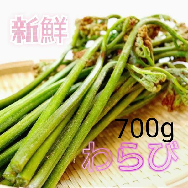 新鮮 山菜 とれたて発送 産地直送 無農薬 蕨 ワラビ わらび 700g 【太くて粘りあり】