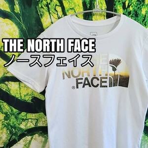 ノースフェイス the North Face 白Tシャツ 綿 ロゴプリント Mサイズ 半袖 ホワイト Tシャツ プリントTシャツ