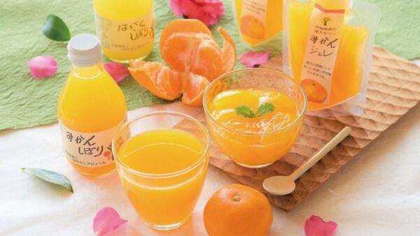 【2本セット】和歌山名物♪甘夏・みかんしぼり100%ピュアジュース(180ml)