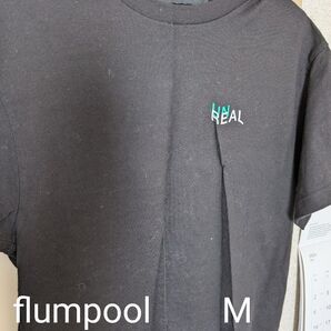 flumpool REAL TOURТシャツ