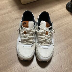 NIKE AIR MAXスニーカー 27.5cm 限定色