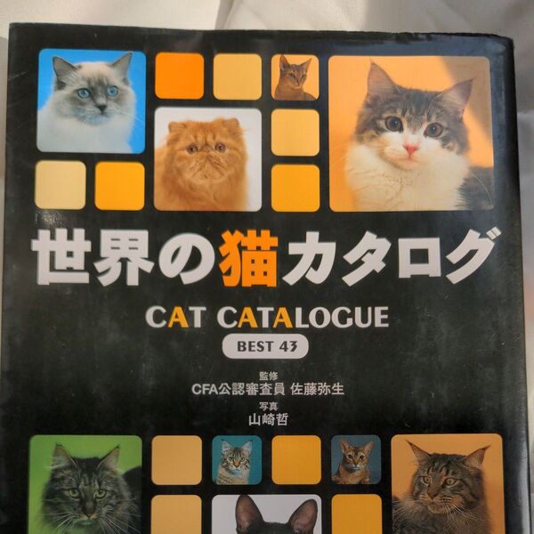 世界の猫カタログ Cat catalogue best 43 佐藤 弥生 監 山崎 哲 撮影