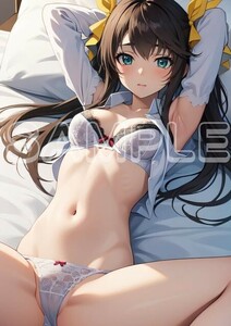 Z5453 凰鈴音 IS インフィニットストラトス A4 同人 イラスト 美少女 美女 下着 水着 コスプレ アニメ ポスター セクシー エロ acg