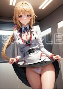 Z5409 シャルロットデュノア IS インフィニットストラトス A4 同人 イラスト 美少女 美女 下着 コスプレ ポスター セクシー エロ