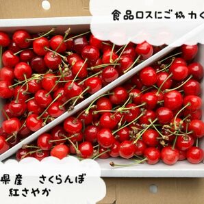 さくらんぼ（紅さやか/訳あり/1kg/バラ詰め）加工用にもおすすめ