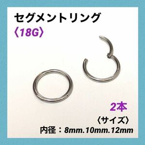 2本　セグメントリング　18G内径10mm ボディピアス