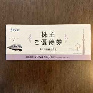  higashi . railroad corporation stockholder complimentary ticket 