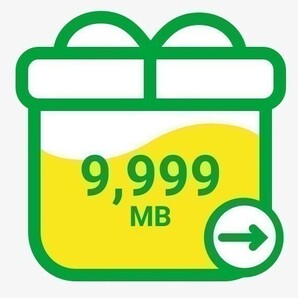 mineo パケットギフトコード 10GB（9999MB）