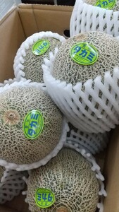  Aomori production takami melon 1 piece 698 jpy prompt decision 
