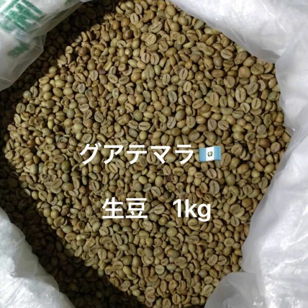 グアテマラ　生豆　1kg コーヒー豆