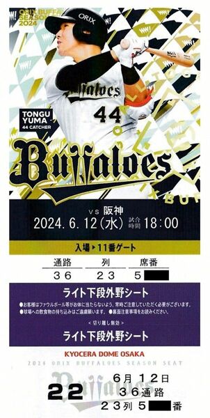 オリックスBuffaloes vs 阪神Tigers 6/12(水) ライト下段外野シート