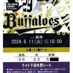 オリックスBuffaloes vs 阪神Tigers 6/11(火) ライト下段外野シート