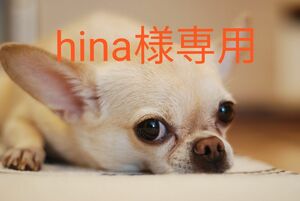 hina様専用　ドッグフード