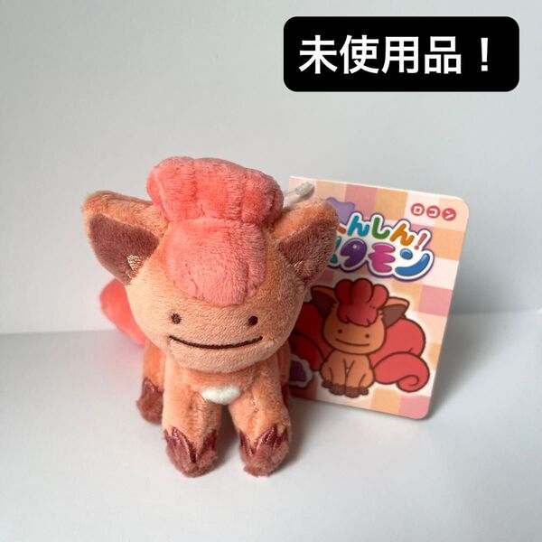 【未使用品】ポケモンセンター へんしんメタモン ロコン マスコット